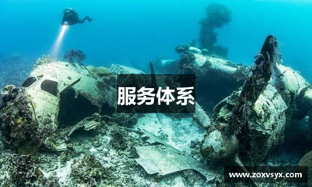 服务体系